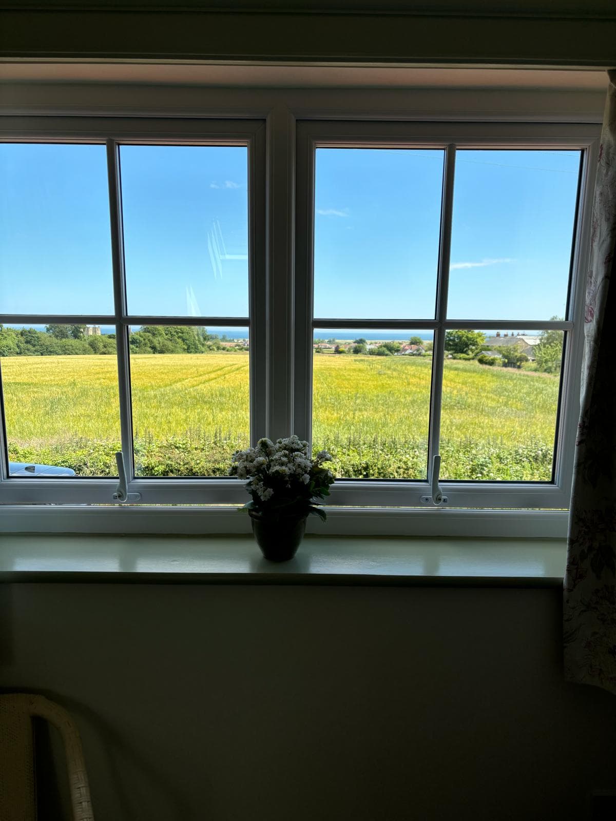 Window Field
